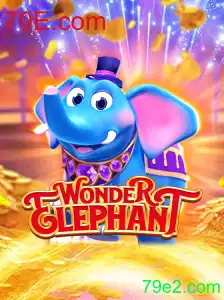 Explorando o Maravilhoso Mundo de WonderElephant
